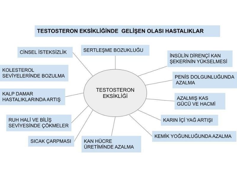 testosteron-eksikligi