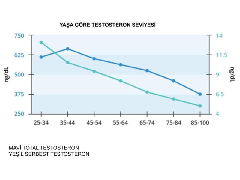 yasa-gore-testosteron-seviyesi